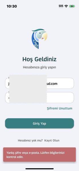 Abyssinian, Kedi haluk fotoğrafı