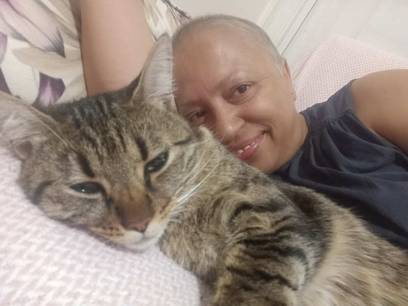 Tekir Kedi, Kedi Şifa fotoğrafı