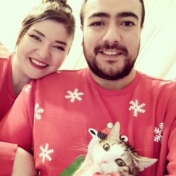 Tekir Kedi, Kedi  ÇİKO fotoğrafı