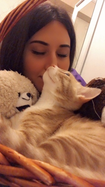 Sarman, Kedi Mocha fotoğrafı