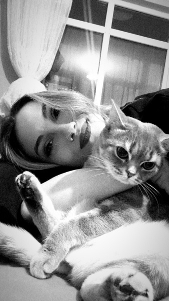 British Shorthair, Kedi Eyşan fotoğrafı