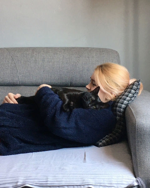 Tekir Kedi, Kedi ali osman fotoğrafı