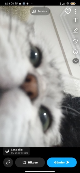 British Shorthair, Kedi Duman fotoğrafı