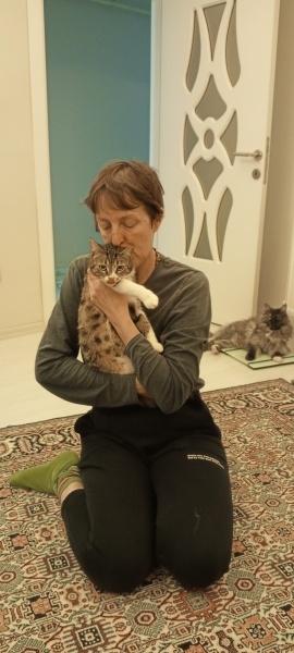 Tekir Kedi, Kedi Lucky fotoğrafı