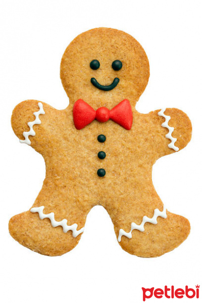 Tekir Kedi, Kedi Nagisa fotoğrafı