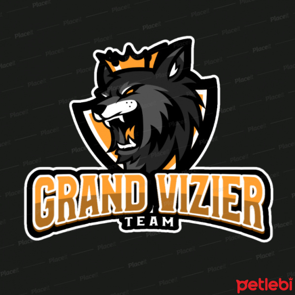 Tekir Kedi, Kedi lina uludemir fotoğrafı