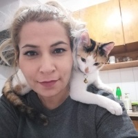 Tekir Kedi, Kedi  Venüs ve maya fotoğrafı