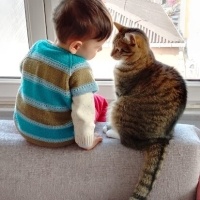 Tekir Kedi, Kedi Fındık fotoğrafı