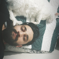 Van Kedisi, Kedi  Venüs fotoğrafı