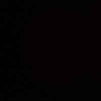 Bombay, Kedi Dmk fotoğrafı