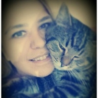 Tekir Kedi, Kedi chucky fotoğrafı