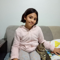 Tekir Kedi, Kedi 2.5 AYLIK YAVRU OYUNCU fotoğrafı