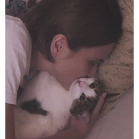 Tekir Kedi, Kedi Yonca fotoğrafı