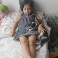 Tekir Kedi, Kedi üzüm fotoğrafı