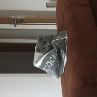 Scottish Fold, Kedi Melo fotoğrafı