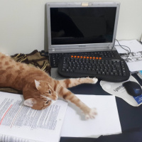 Sarman, Kedi Sezar fotoğrafı