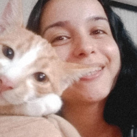 Sarman, Kedi Haydut fotoğrafı