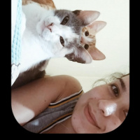 Sarman, Kedi Haydut fotoğrafı