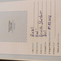 British Shorthair, Kedi Rozi fotoğrafı