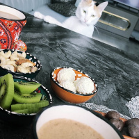 Tekir Kedi, Kedi Bade fotoğrafı