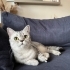 Lila
