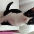 Zeytin