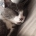 Duman