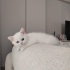 Pamuk