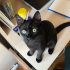 zeytin