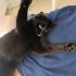 Zeytin