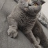 Mia