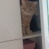 Duman