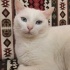 Hera