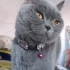 Süslü