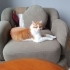 Boni