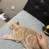 Victor