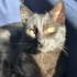 salem
