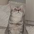 Emira
