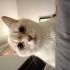 CASPER