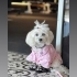 Lila