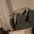 Karbon