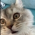 Tina