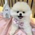 Puffy