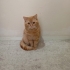 Aslan