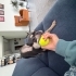 Rita
