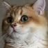 Yumoş