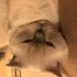 Milky