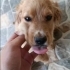 Çomaç