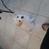 Lumi