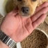 Odin
